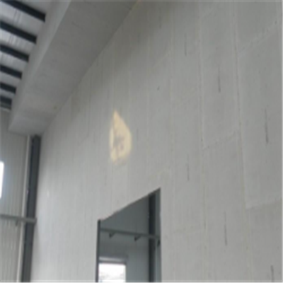 青神宁波ALC板|EPS加气板隔墙与混凝土整浇联接的实验研讨